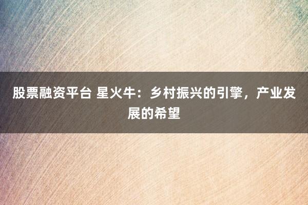 股票融资平台 星火牛：乡村振兴的引擎，产业发展的希望