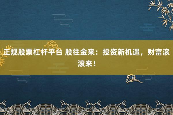 正规股票杠杆平台 股往金来：投资新机遇，财富滚滚来！