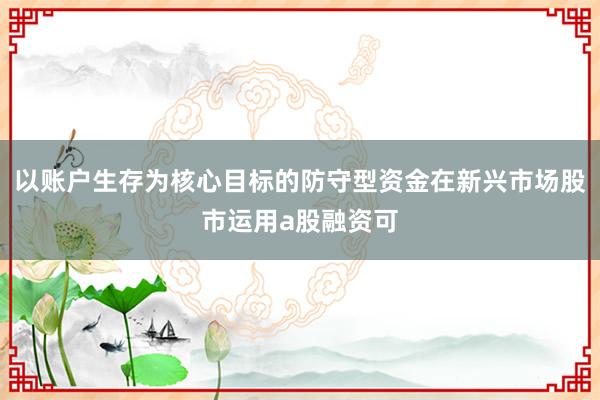 以账户生存为核心目标的防守型资金在新兴市场股市运用a股融资可