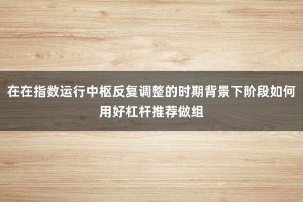 在在指数运行中枢反复调整的时期背景下阶段如何用好杠杆推荐做组